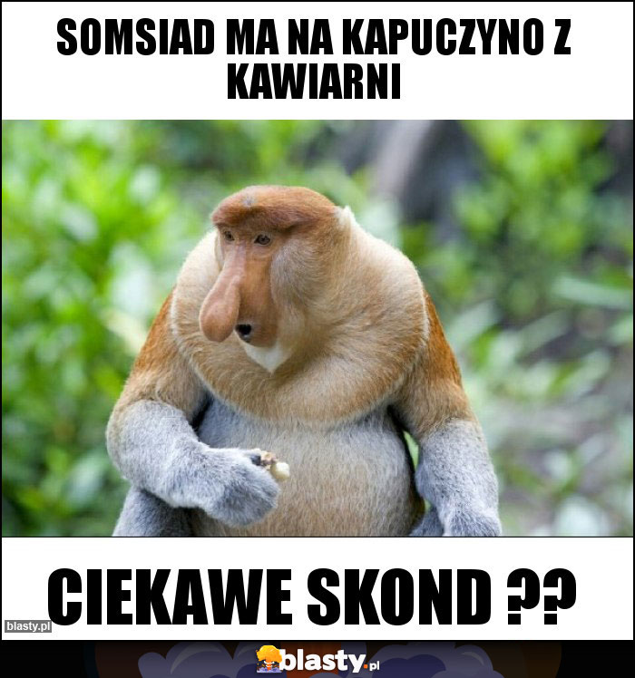 Somsiad ma na kapuczyno z kawiarni Somsiad ma na kapuczyno z kawiarni