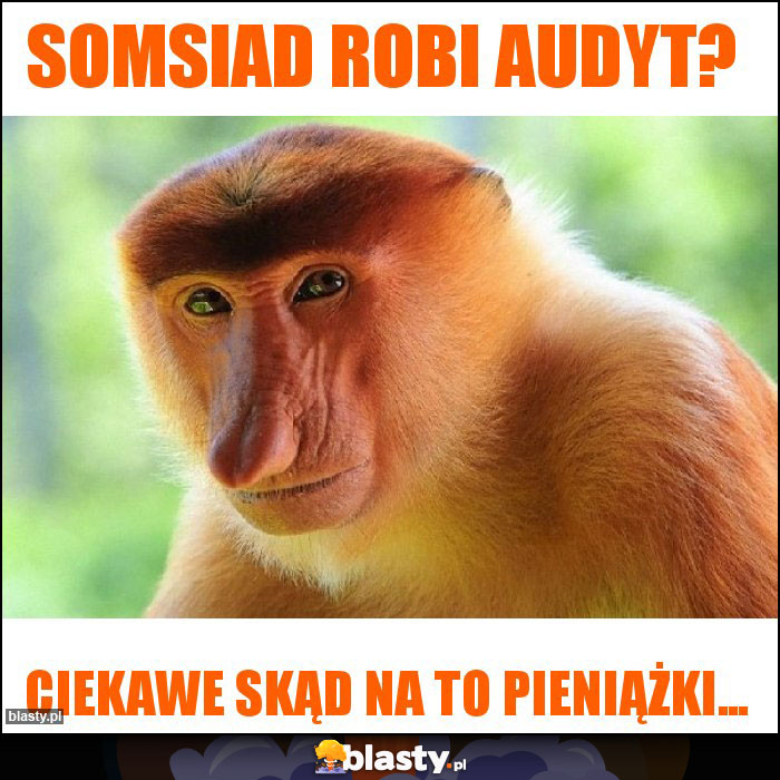 Somsiad robi audyt? Somsiad robi audyt?