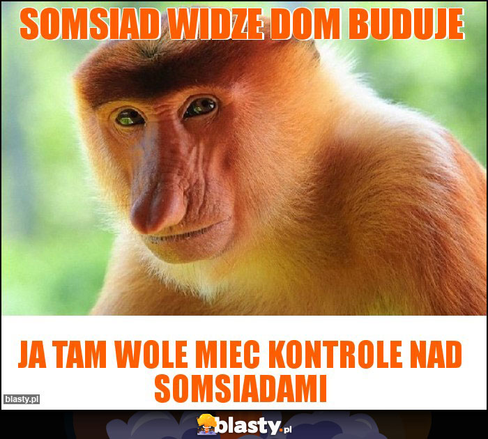 Somsiad widze dom buduje Somsiad widze dom buduje