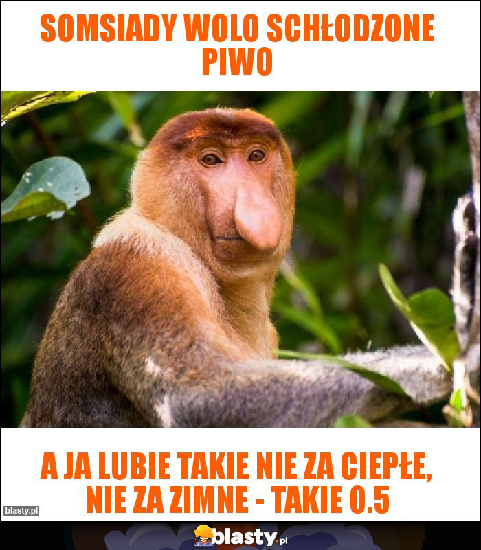 Somsiady wolo schłodzone piwo Somsiady wolo schłodzone piwo