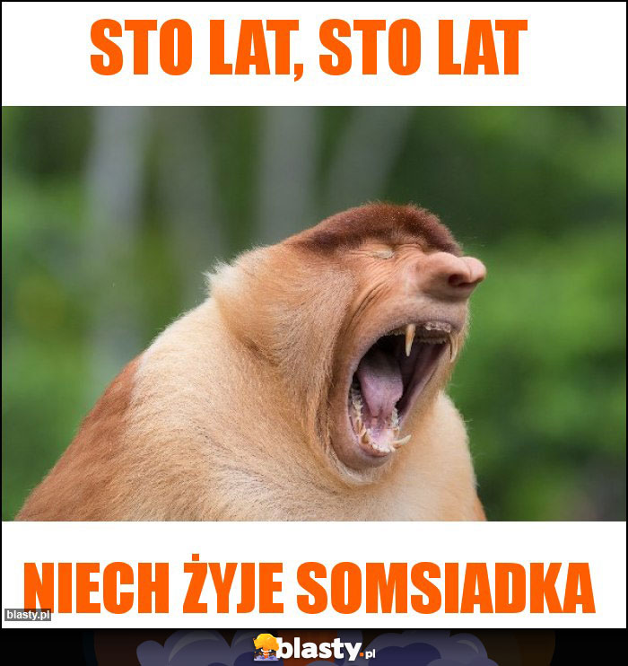 STO LAT, STO LAT STO LAT, STO LAT
