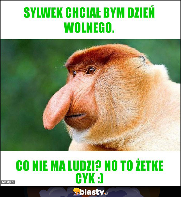 Sylwek Chciał bym dzień wolnego. Sylwek Chciał bym dzień wolnego.