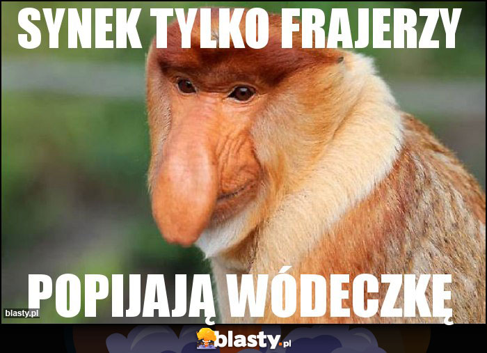 Synek tylko frajerzy Synek tylko frajerzy