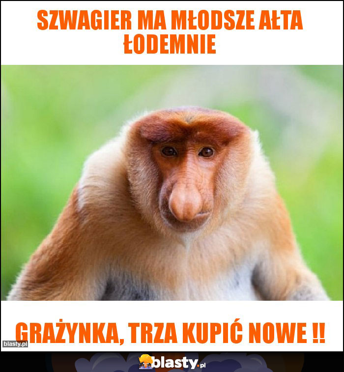 Szwagier ma młodsze ałta łodemnie Szwagier ma młodsze ałta łodemnie