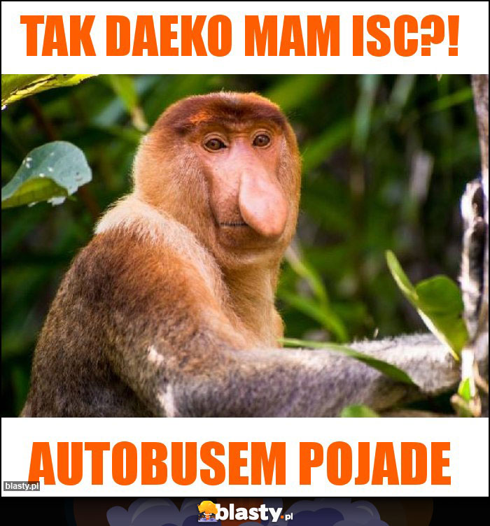 Tak daeko mam isc?! Tak daeko mam isc?!