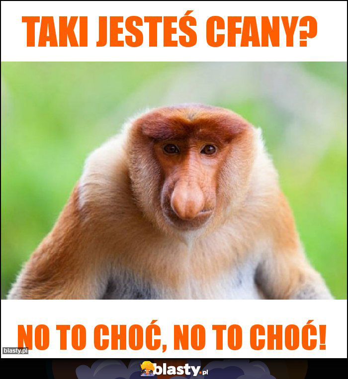 TAKI JESTEŚ CFANY?