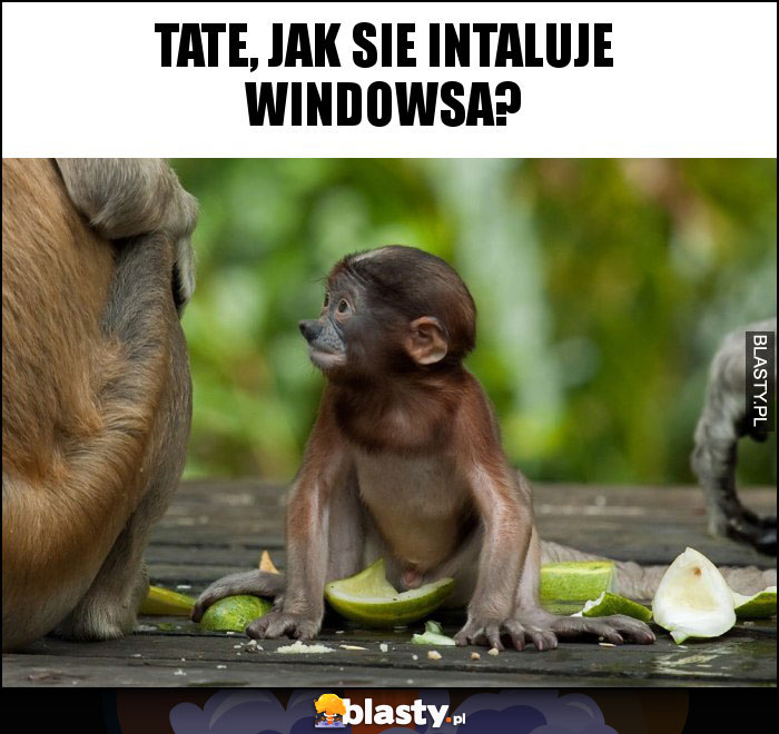 Tate, jak sie intaluje Windowsa? Tate, jak sie intaluje Windowsa?