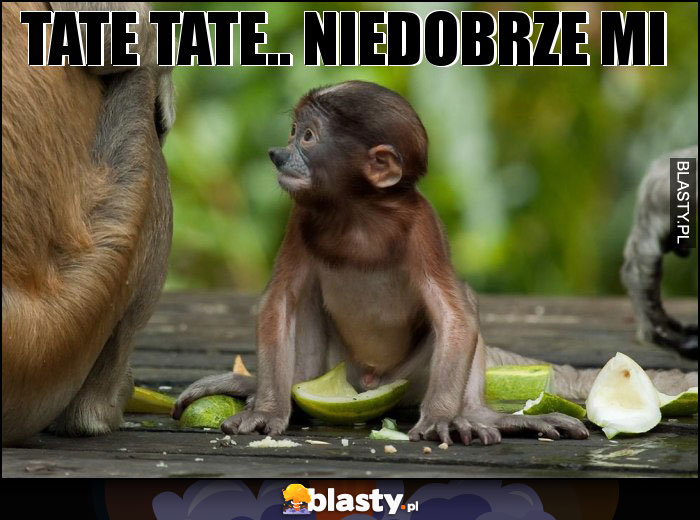 Tate tate.. niedobrze mi Tate tate.. niedobrze mi