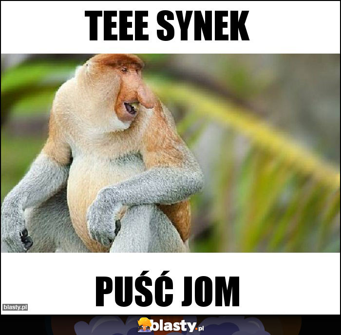 Teee synek Teee synek