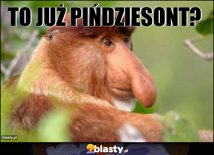 to już pińdziesont? to już pińdziesont?