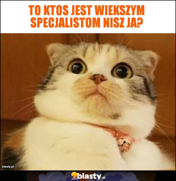 to ktos jest wiekszym specjalistom nisz ja? to ktos jest wiekszym specjalistom nisz ja?