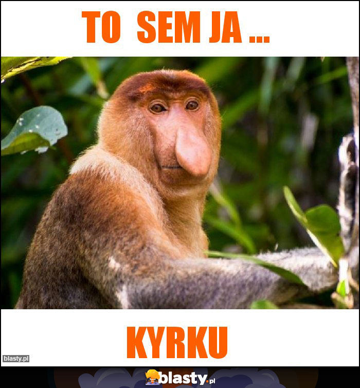 To sem ja ... To sem ja ...