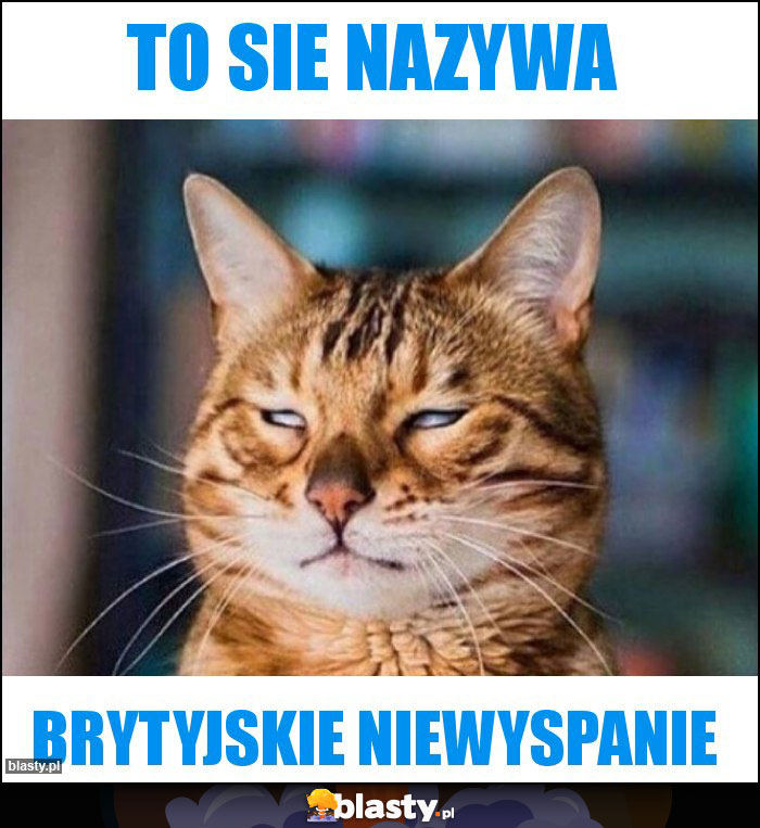 To sie nazywa