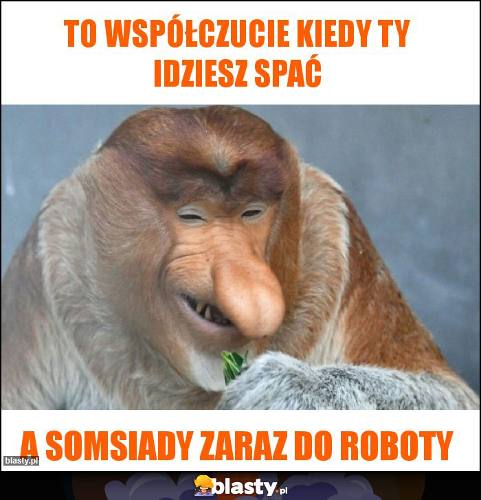 To współczucie kiedy ty idziesz spać To współczucie kiedy ty idziesz spać