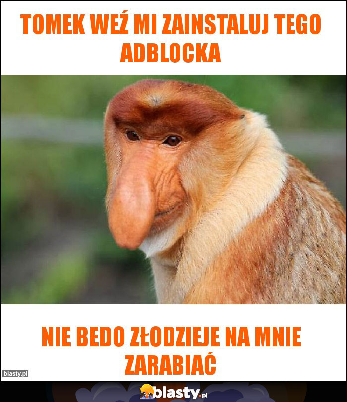 TOMEK WEŹ MI ZAINSTALUJ TEGO ADBLOCKA TOMEK WEŹ MI ZAINSTALUJ TEGO ADBLOCKA