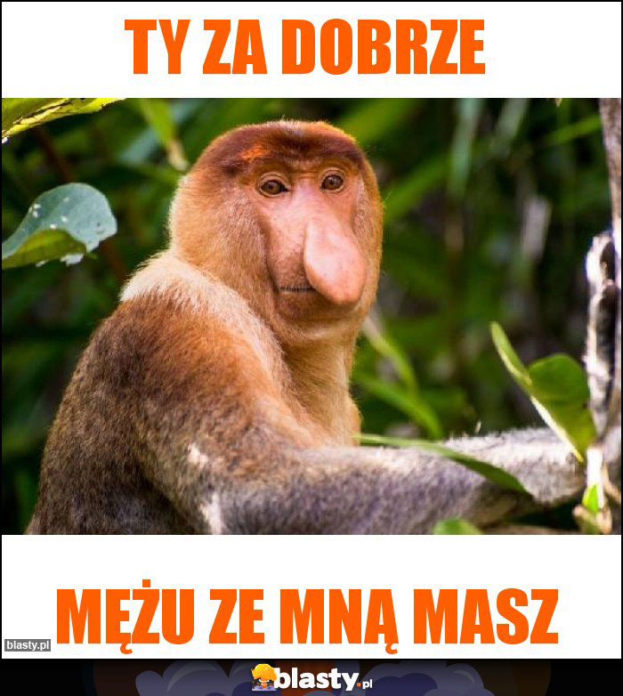Ty za dobrze Ty za dobrze
