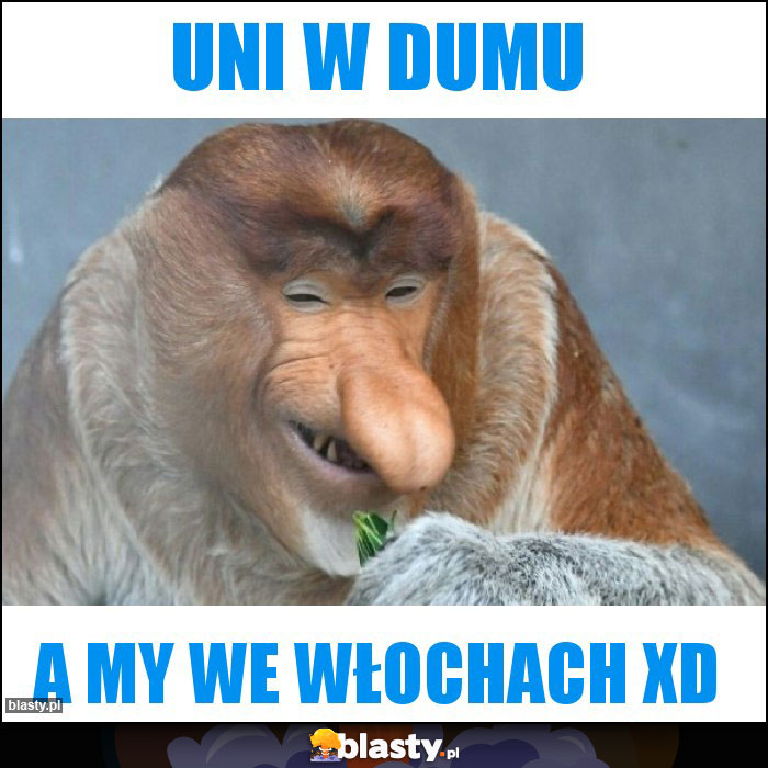 uni w dumu uni w dumu