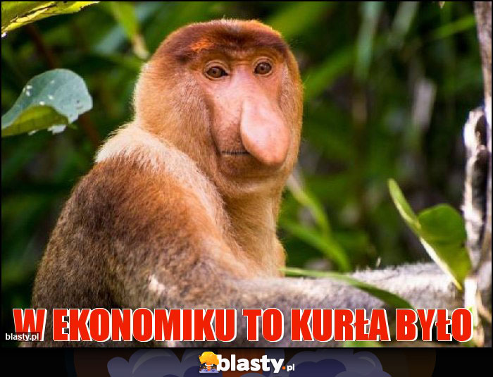 W EKONOMIKU TO KURŁA BYŁO W EKONOMIKU TO KURŁA BYŁO