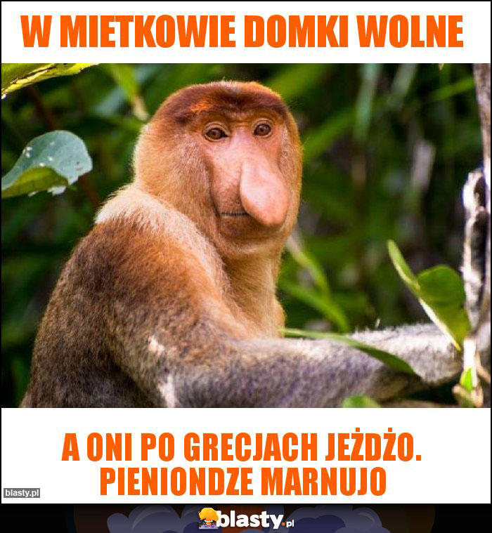 W mietkowie domki wolne W mietkowie domki wolne