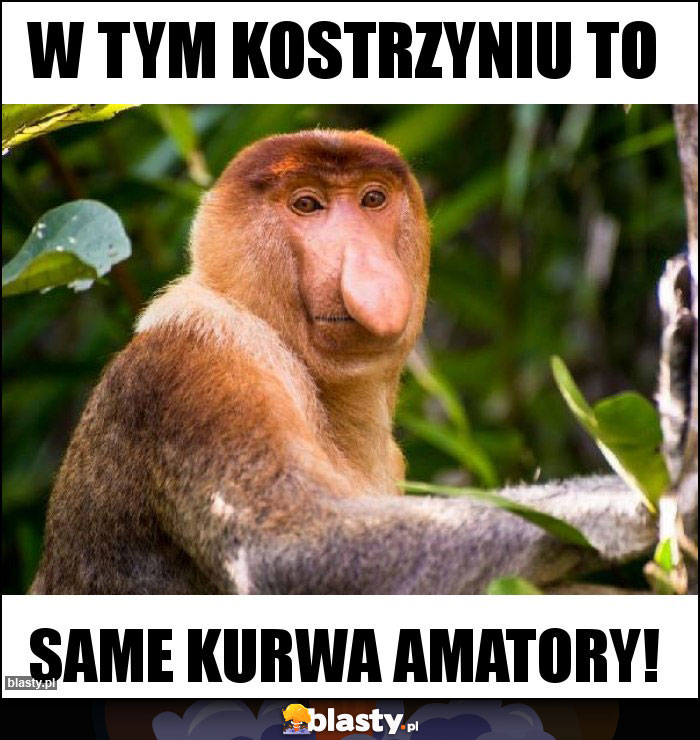 W tym Kostrzyniu to W tym Kostrzyniu to