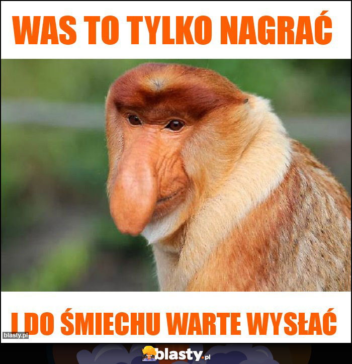 Was to tylko nagrać Was to tylko nagrać