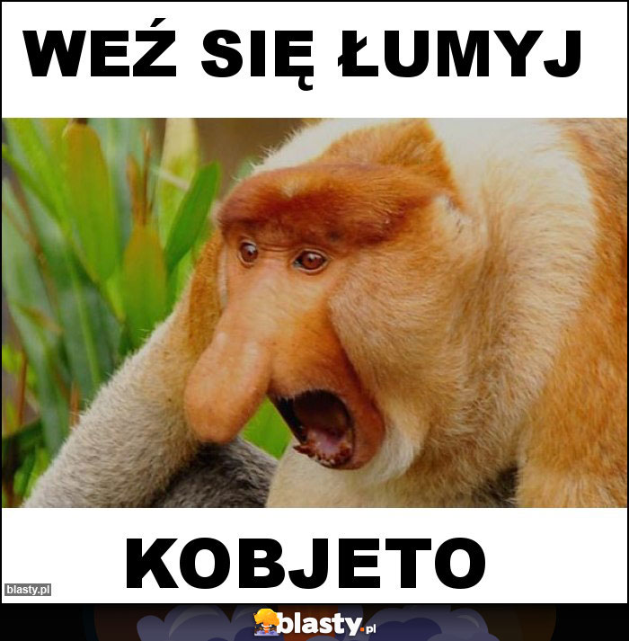 WEŹ SIĘ ŁUMYJ WEŹ SIĘ ŁUMYJ