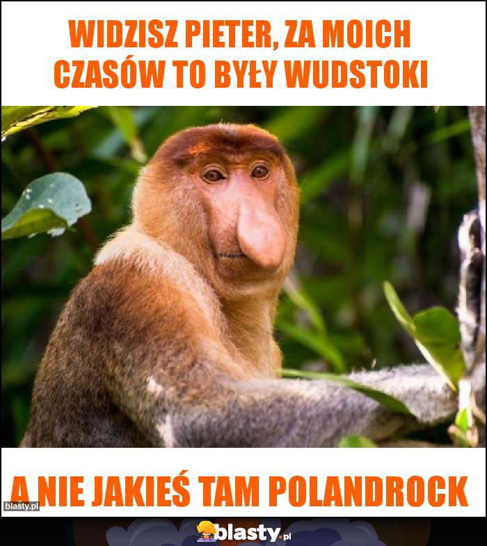 widzisz pieter, za moich czasów to były wudstoki widzisz pieter, za moich czasów to były wudstoki