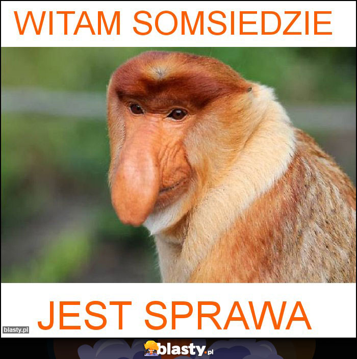 WITAM SOMSIEDZIE WITAM SOMSIEDZIE