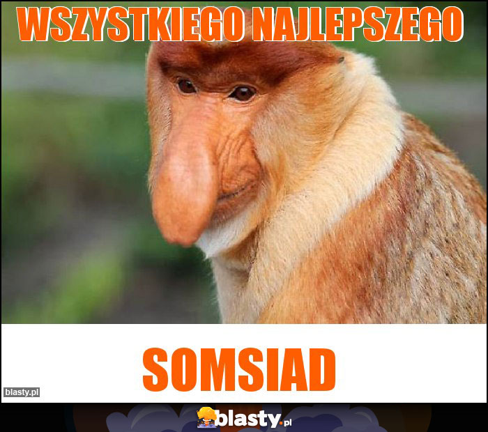 wszystkiego najlepszego wszystkiego najlepszego