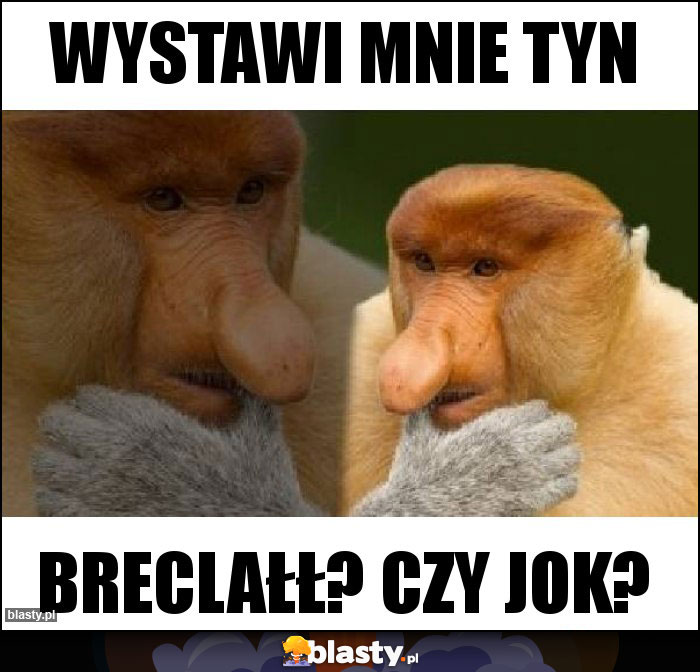 Wystawi mnie tyn Wystawi mnie tyn
