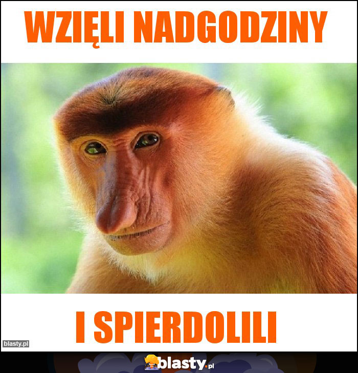 Wzięli nadgodziny Wzięli nadgodziny