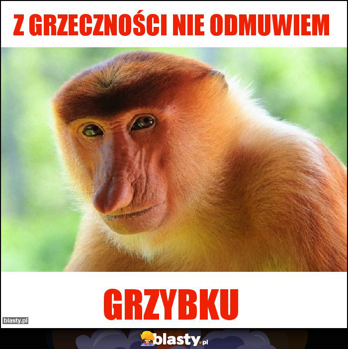 Z grzeczności nie odmuwiem Z grzeczności nie odmuwiem