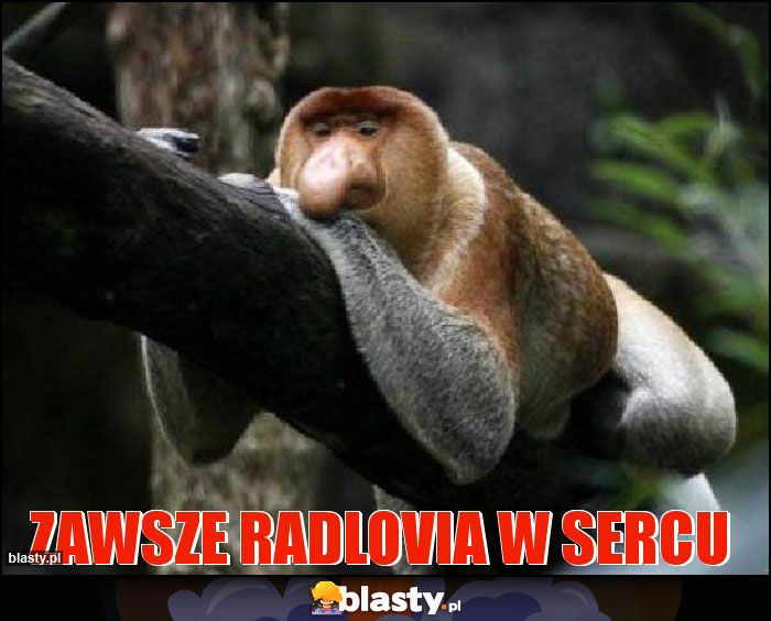 Zawsze Radlovia w sercu Zawsze Radlovia w sercu