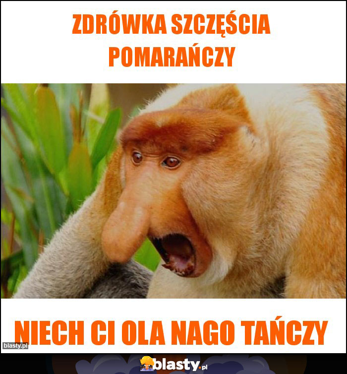 Zdrówka Szczęścia Pomarańczy Zdrówka Szczęścia Pomarańczy