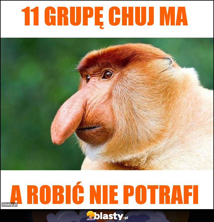 11 grupę chuj ma