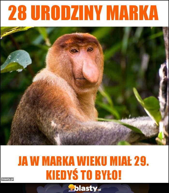 28 urodziny Marka 28 urodziny Marka