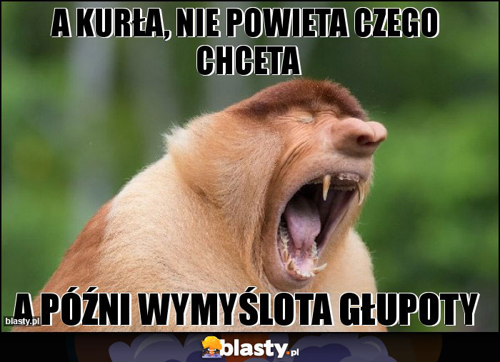 A KURŁA, NIE POWIETA CZEGO CHCETA A KURŁA, NIE POWIETA CZEGO CHCETA
