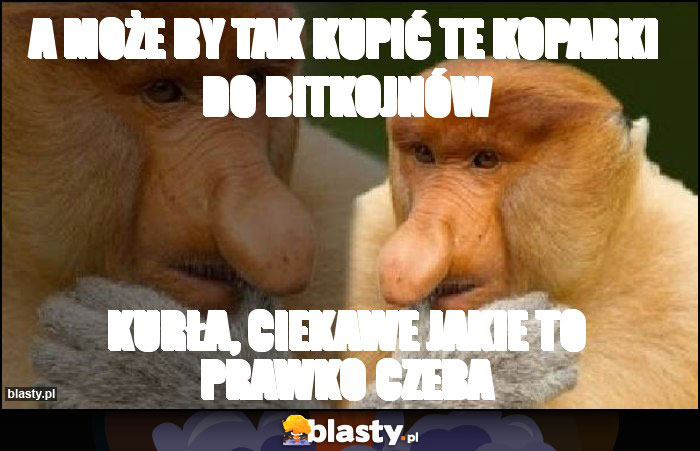 A może by tak kupić te koparki do bitkojnów A może by tak kupić te koparki do bitkojnów