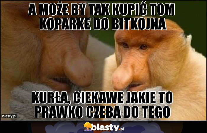 A może by tak kupić tom koparke do bitkojna A może by tak kupić tom koparke do bitkojna
