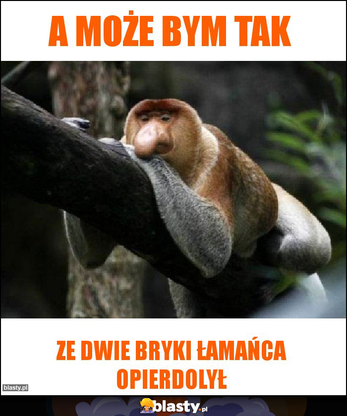 A może bym tak A może bym tak