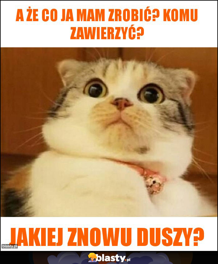 A że co ja mam zrobić? Komu zawierzyć? A że co ja mam zrobić? Komu zawierzyć?