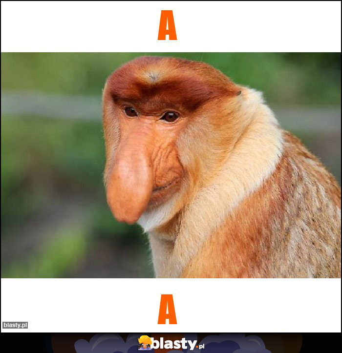 a