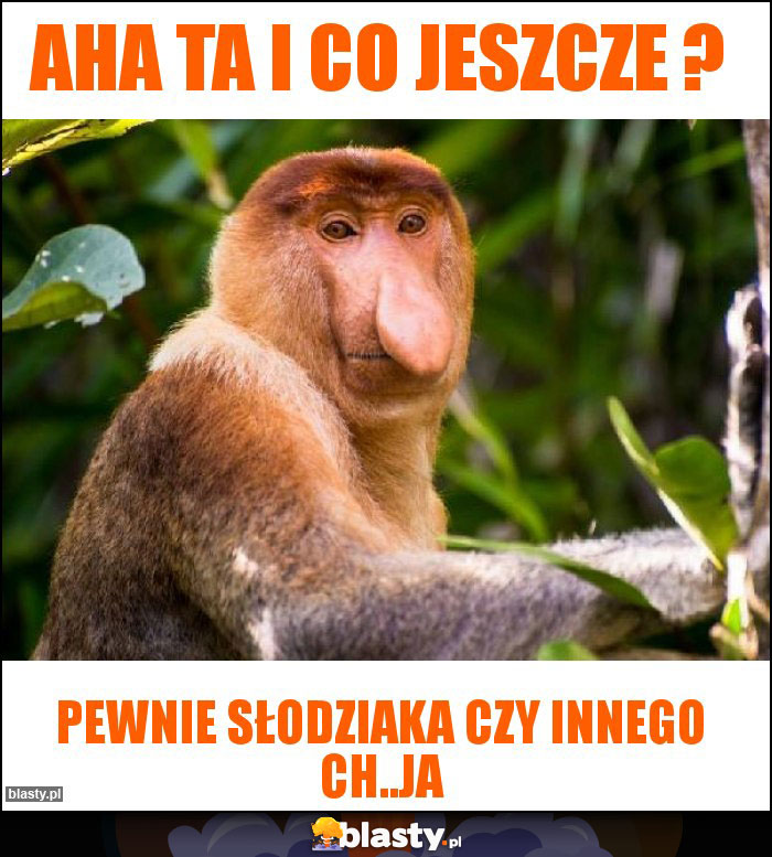 aha ta i co jeszcze ? aha ta i co jeszcze ?