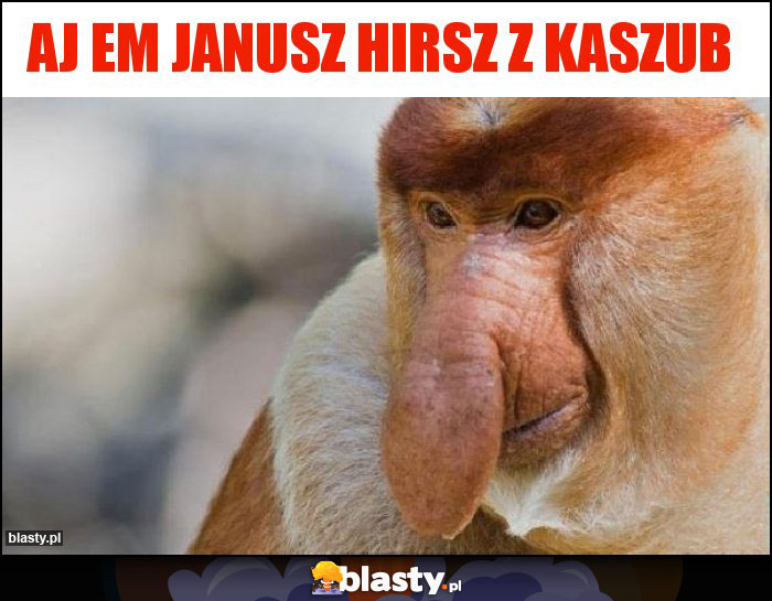 Aj em JANUSZ HIRSZ Z KASZUB Aj em JANUSZ HIRSZ Z KASZUB