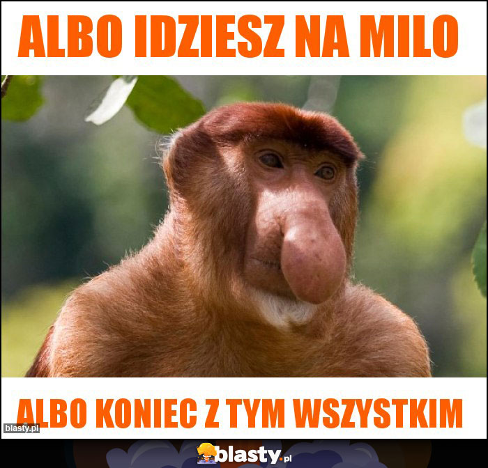 Albo idziesz na milo Albo idziesz na milo