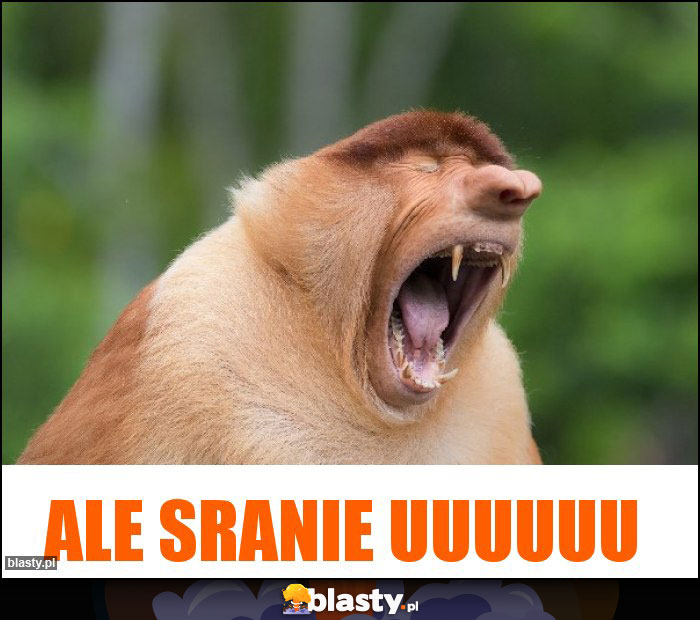 Ale sranie uuuuuu Ale sranie uuuuuu