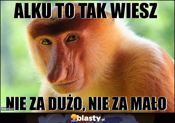 alku to tak wiesz alku to tak wiesz