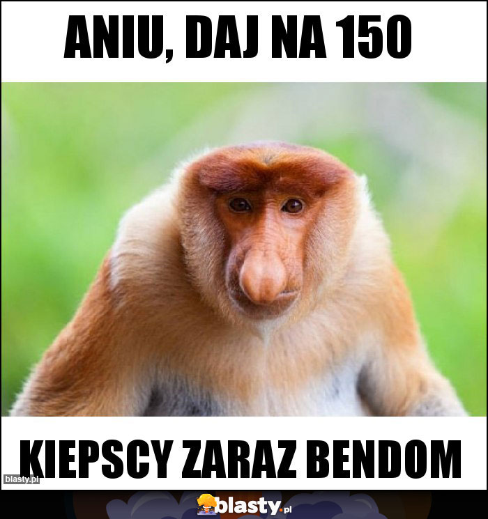 Aniu, daj na 150 Aniu, daj na 150