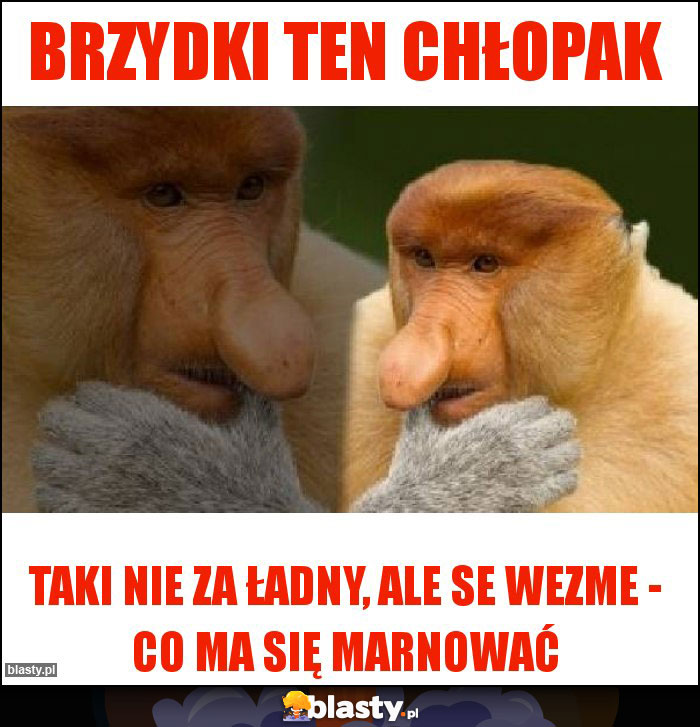 Brzydki ten chłopak Brzydki ten chłopak
