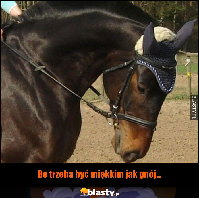 By: Maniaxx By: Maniaxx